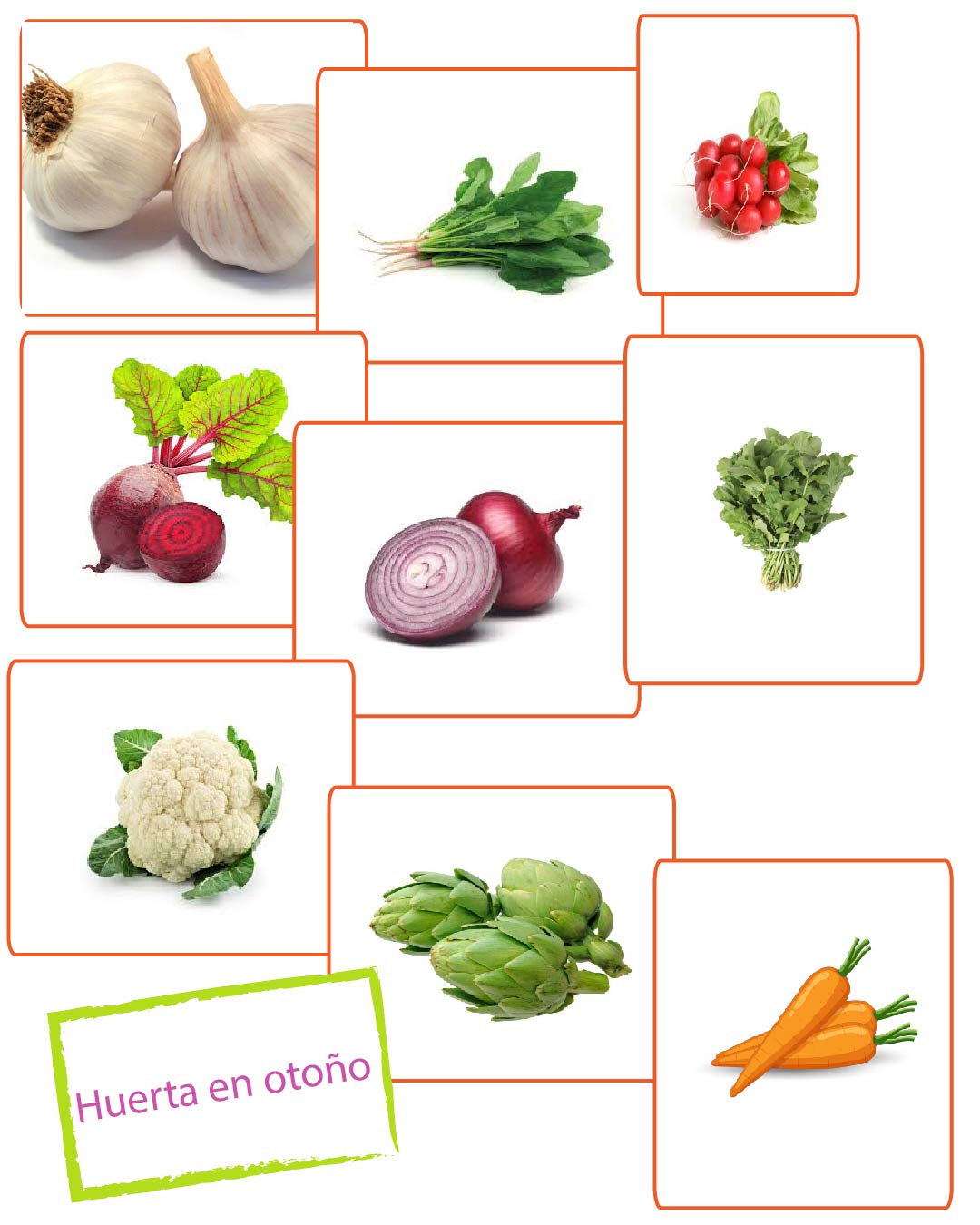 Huerta y Aromáticas