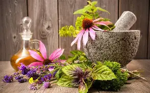 Aromáticas y Medicinales